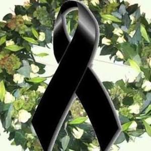 Meet your Posher, Martha